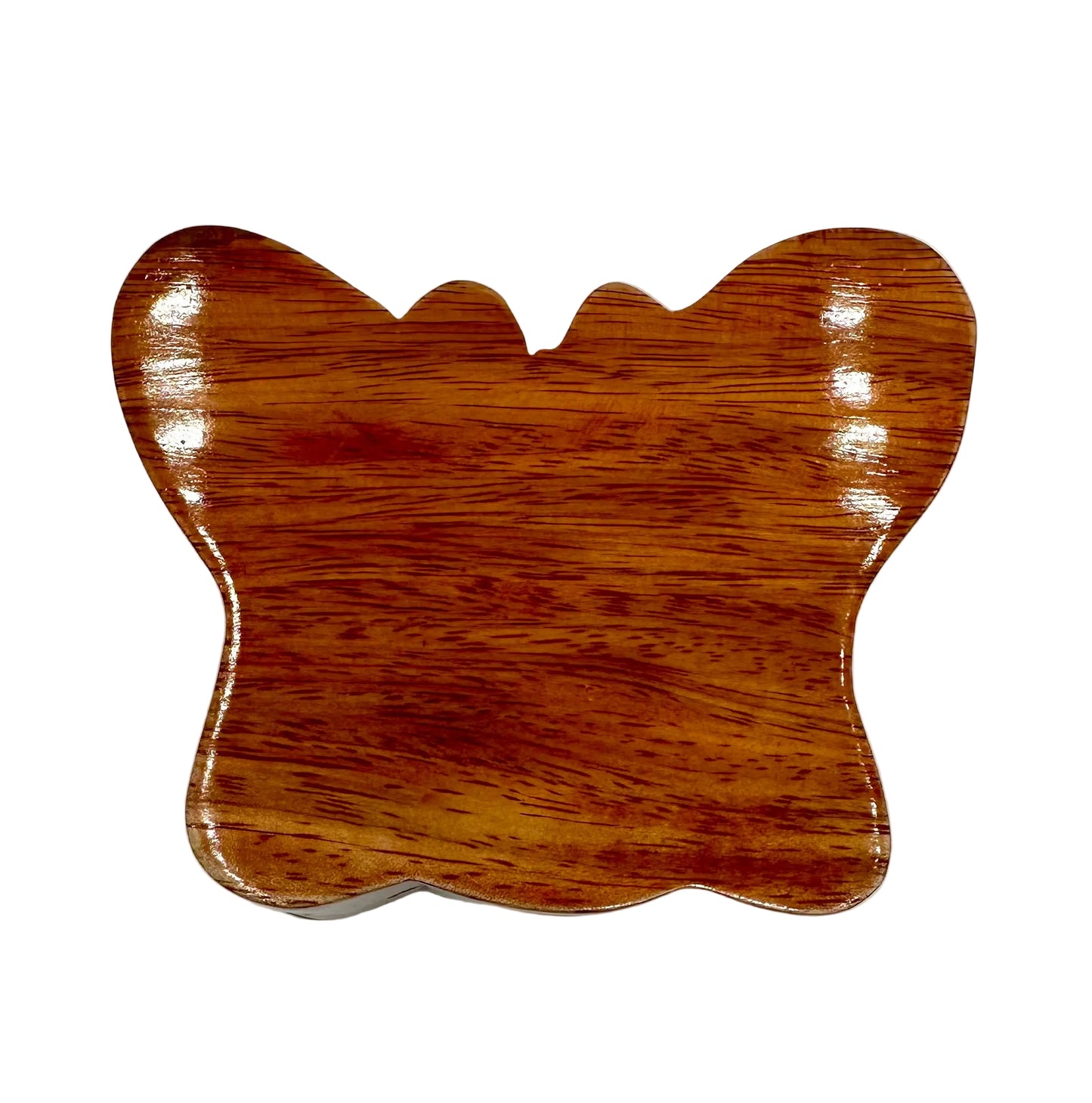 Secret Box Butterfly