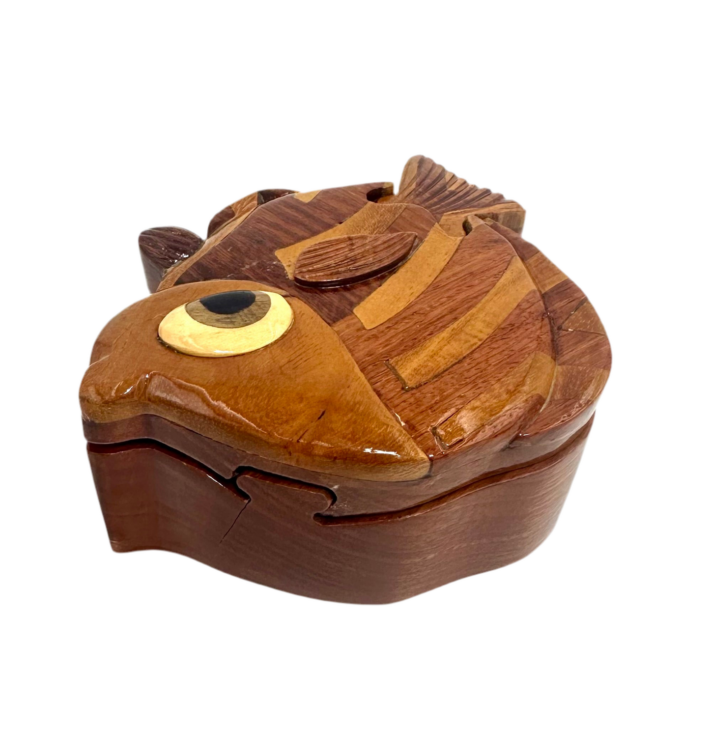 Secret Box Clownfish