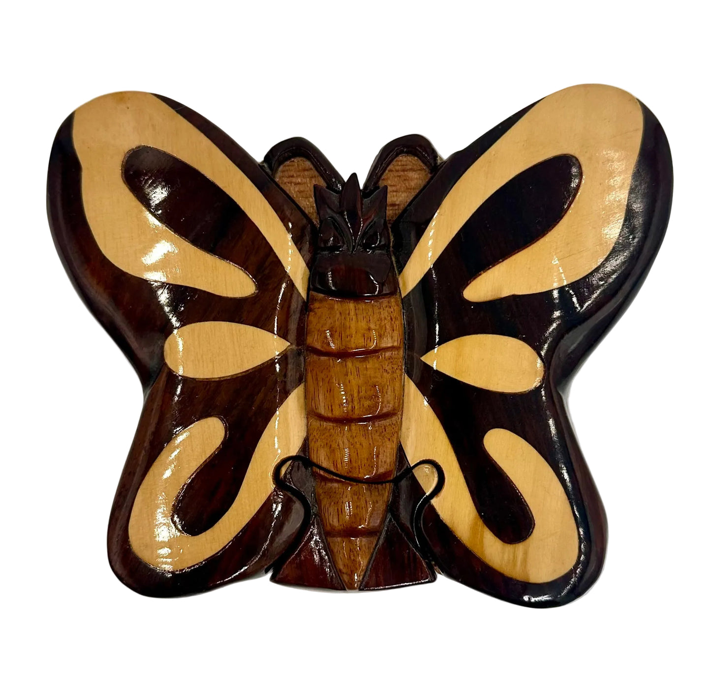 Secret Box Butterfly