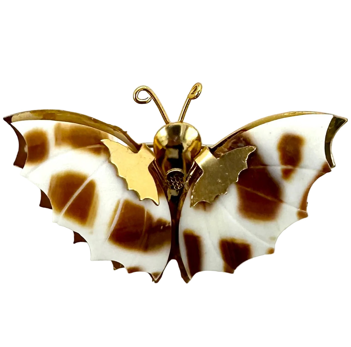 Butterfly Shell Brooch