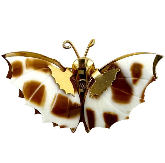 Butterfly Shell Brooch