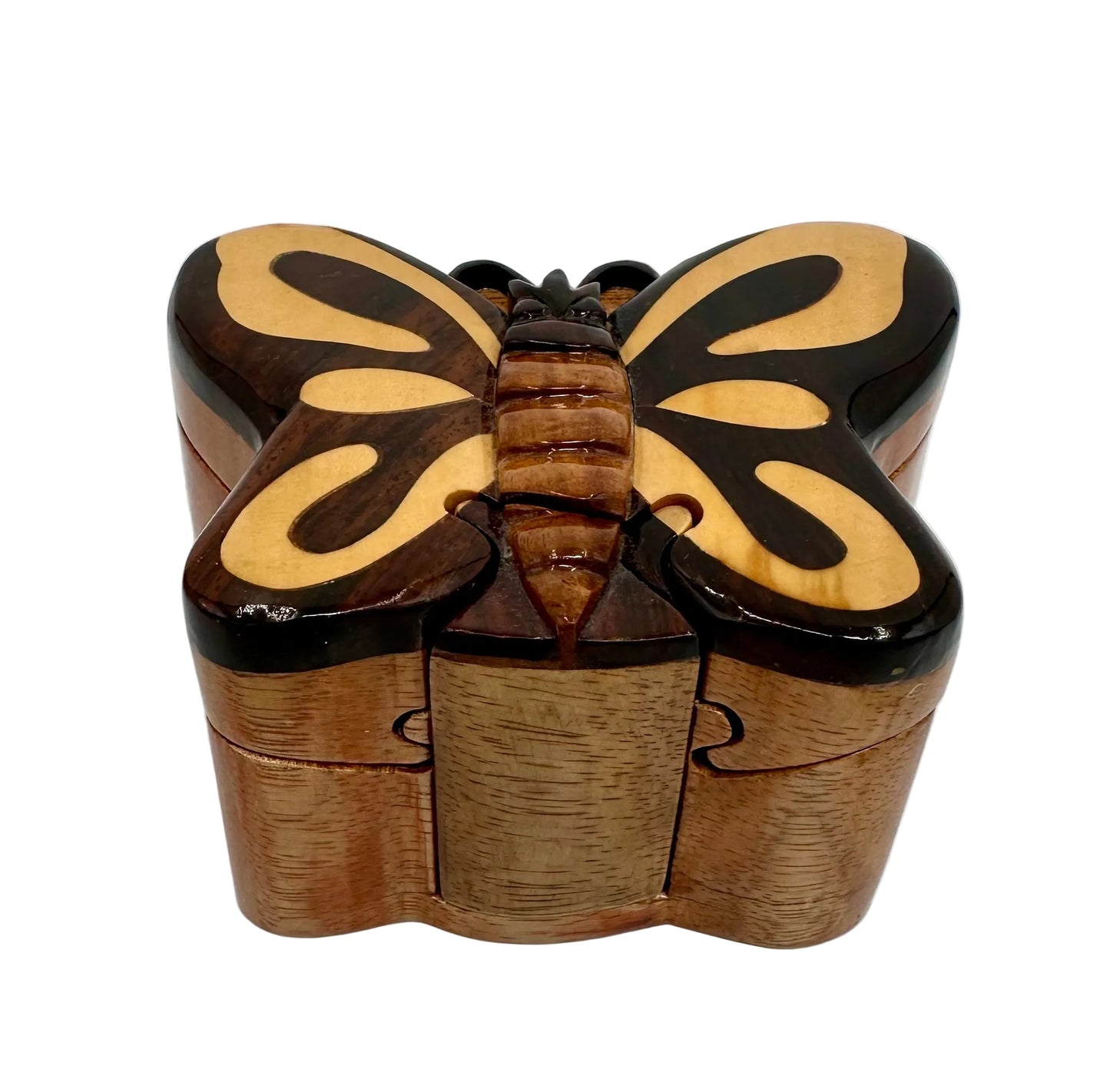 Secret Box Butterfly